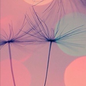 Meet your Posher, Aislinn